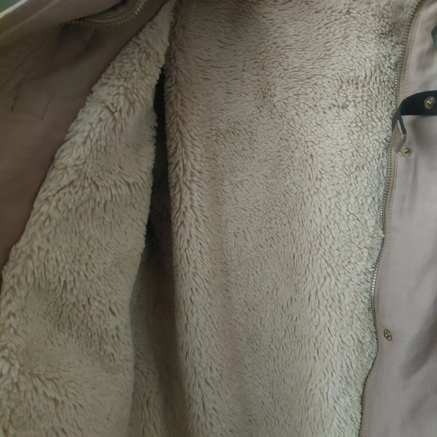 پالتو امریکایی|لباس|صحنه, |دیوار