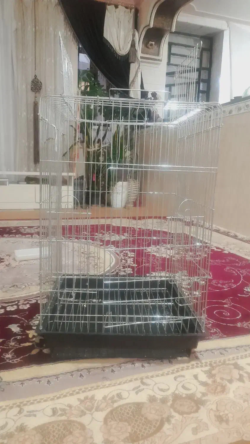 قفس چیکو|لوازم جانبی حیوانات|ایلام, |دیوار