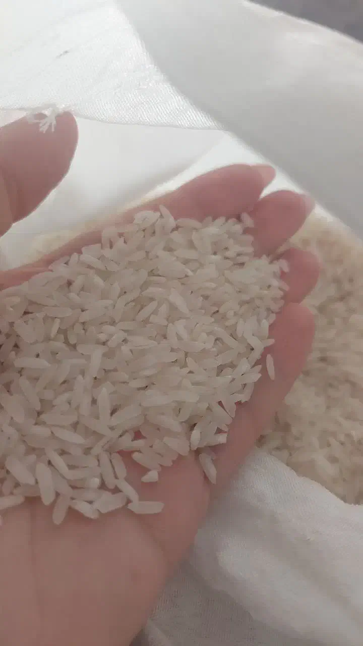 برنج طارم|خوردنی و آشامیدنی|هشتگرد, شهرک ایران خودرو|دیوار