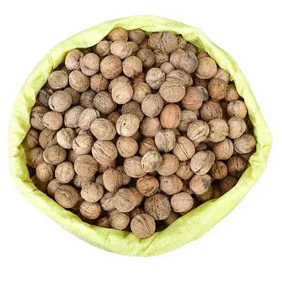 گردو|خوردنی و آشامیدنی|شاهین دژ, |دیوار