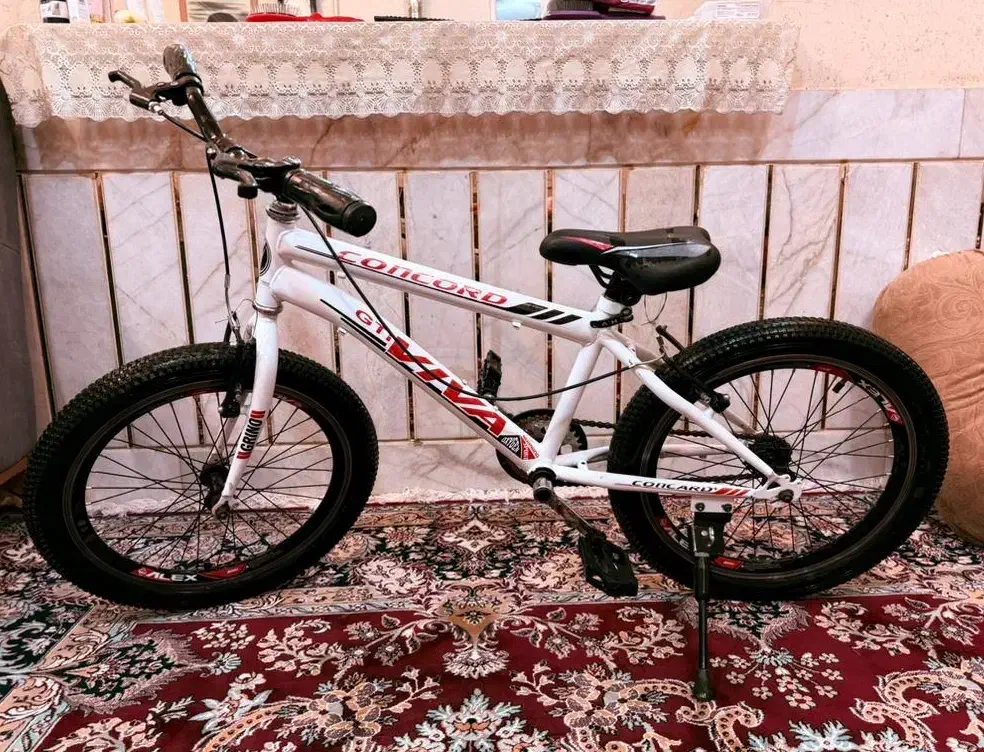 دوچرخه 20تک سرعت طوقه مثلثی خارجی|دوچرخه، اسکیت، اسکوتر|شهرضا, |دیوار