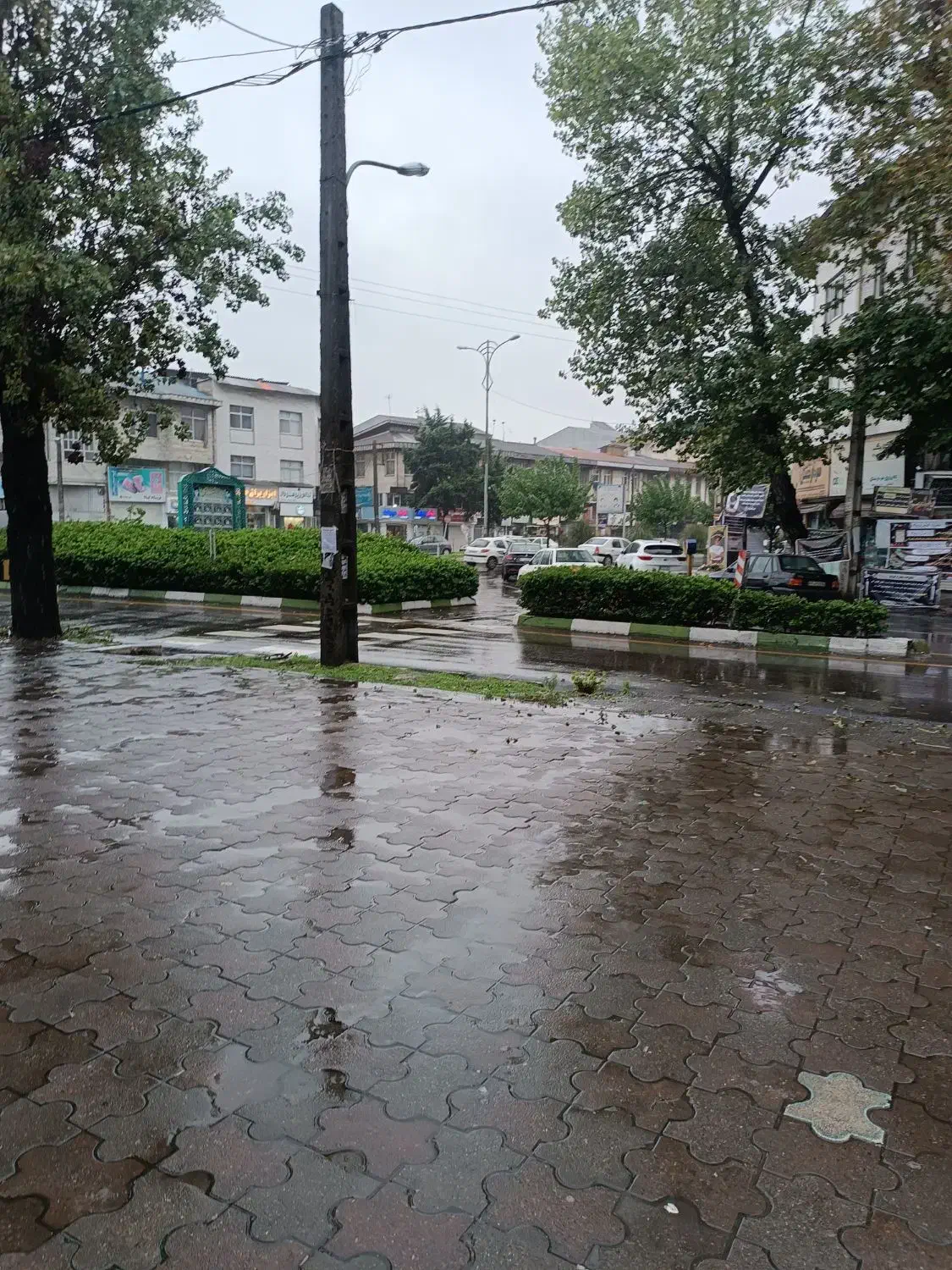 زمین خوش نقشه ۱۱۸ متر در خیابان عطاافرین|فروش زمین و ملک کلنگی|رشت, لاکانی|دیوار