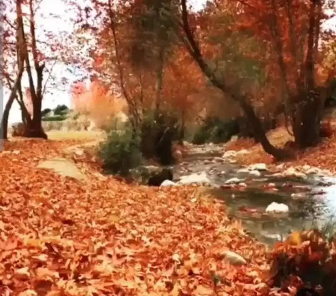 زمین|فروش زمین و ملک کلنگی|فیروزآباد (فارس), |دیوار