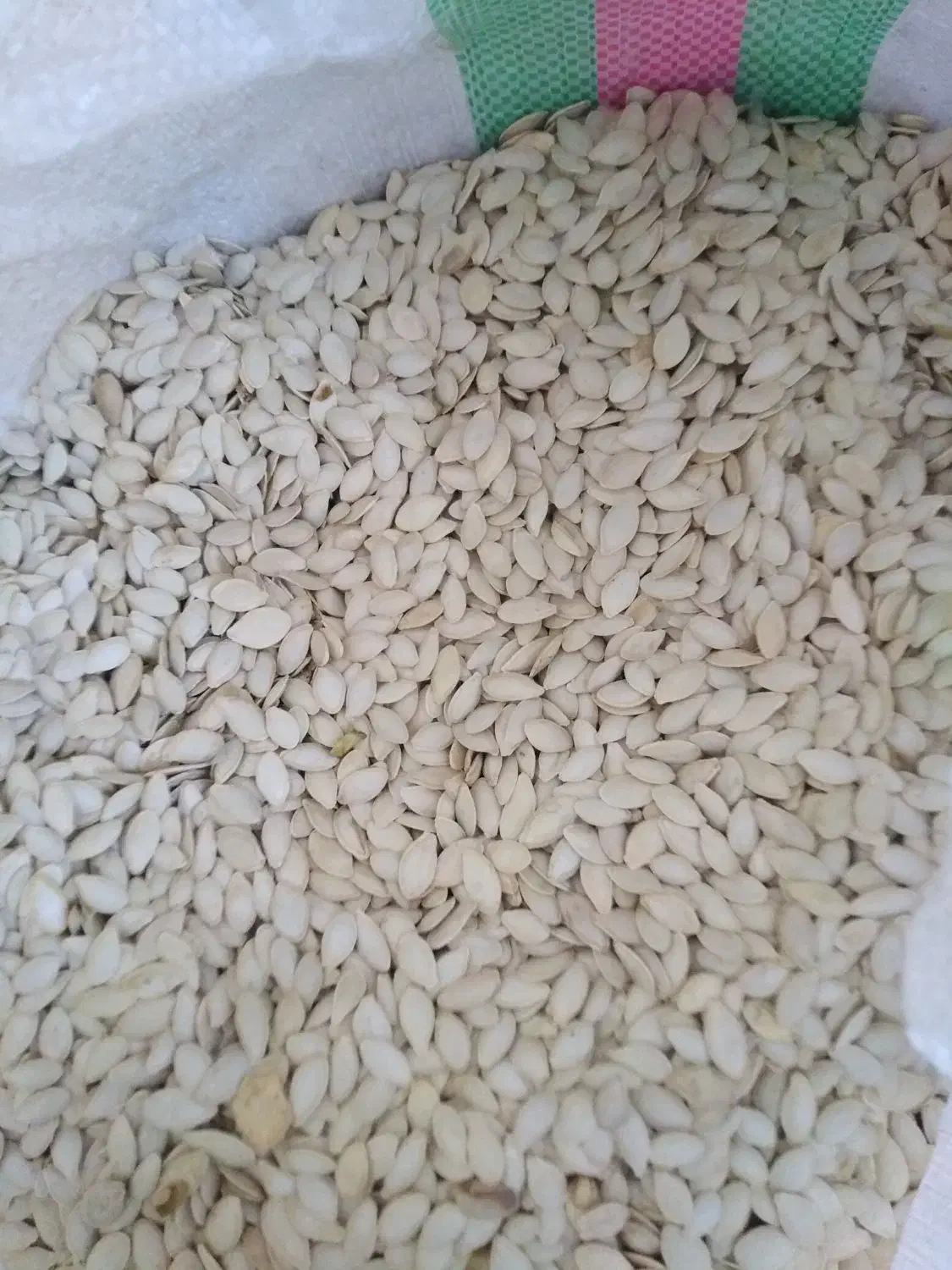 تخمه کدو آجیلی|خوردنی و آشامیدنی|سیلوانه, |دیوار