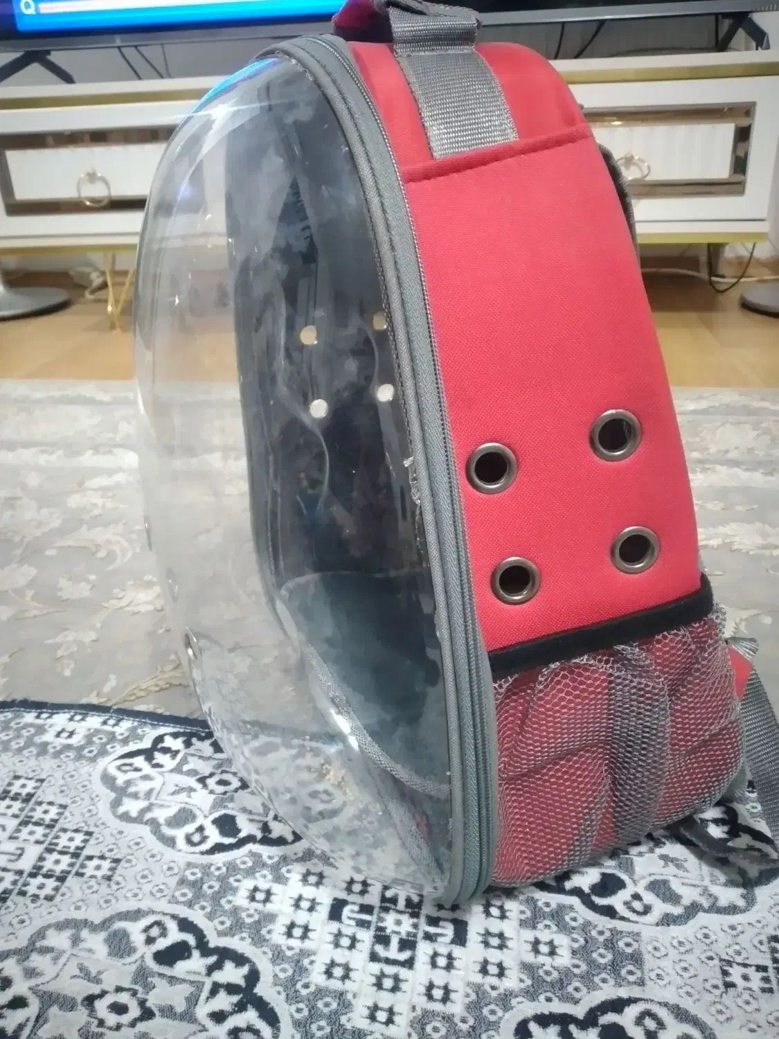 کیف حمل پرنده|لوازم جانبی حیوانات|پرند, فاز ۵|دیوار