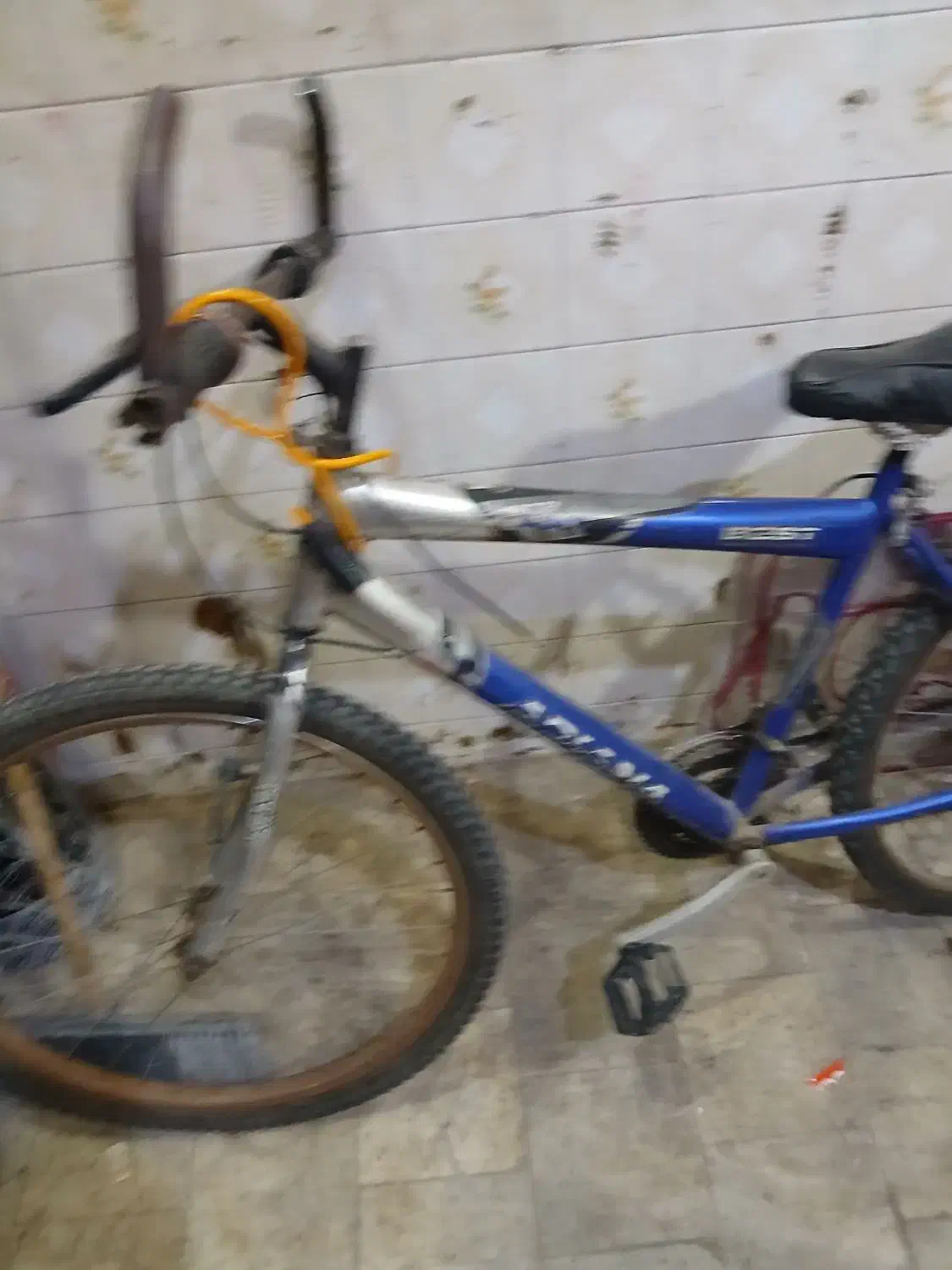 دوچرخه دنده ای|دوچرخه، اسکیت، اسکوتر|یزد, |دیوار