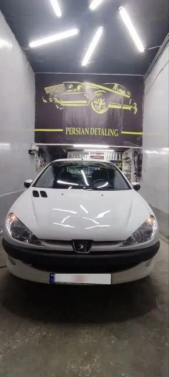 206SD TU5 صندوق دار|خودرو سواری و وانت|قم, باغ شریفی|دیوار