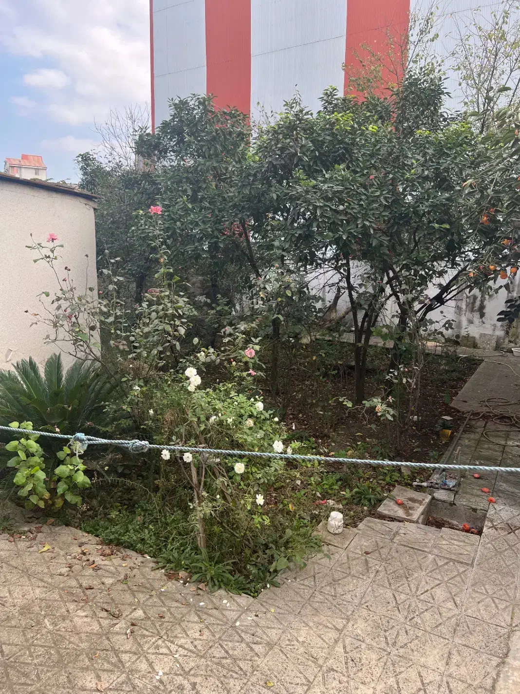 ویلایی کوچک مطهری نزدیک بر۱۹۵متری|فروش خانه و ویلا|رشت, بازار|دیوار