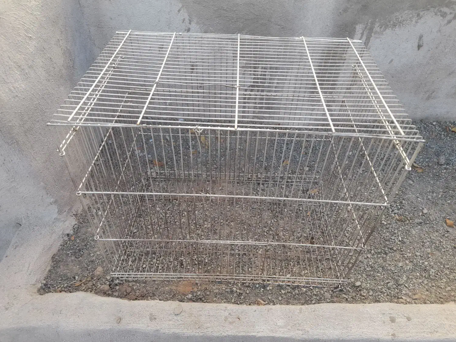 قفس پرنده، ساده|لوازم جانبی حیوانات|تربت‌حیدریه, سرمحله|دیوار