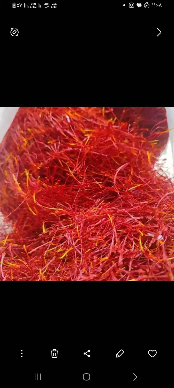 زعفران پوشال اتویی|خوردنی و آشامیدنی|سبزوار, توحیدشهر|دیوار