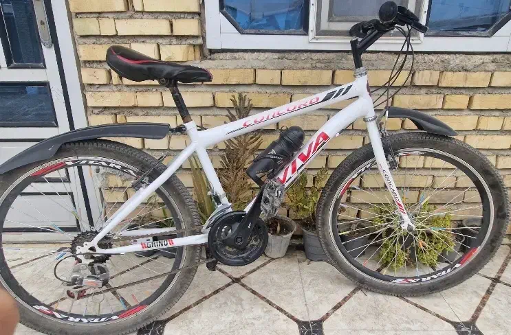 دوچرخه۲۴|دوچرخه، اسکیت، اسکوتر|گنبد کاووس, |دیوار