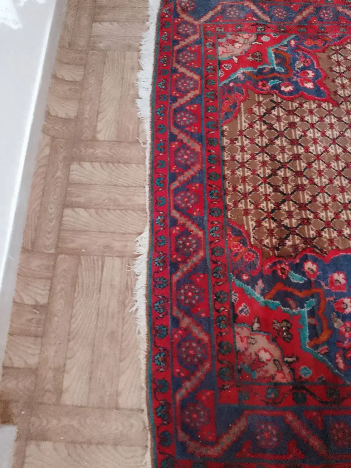 فرش دستبافت|فرش|تهران, قلهک|دیوار