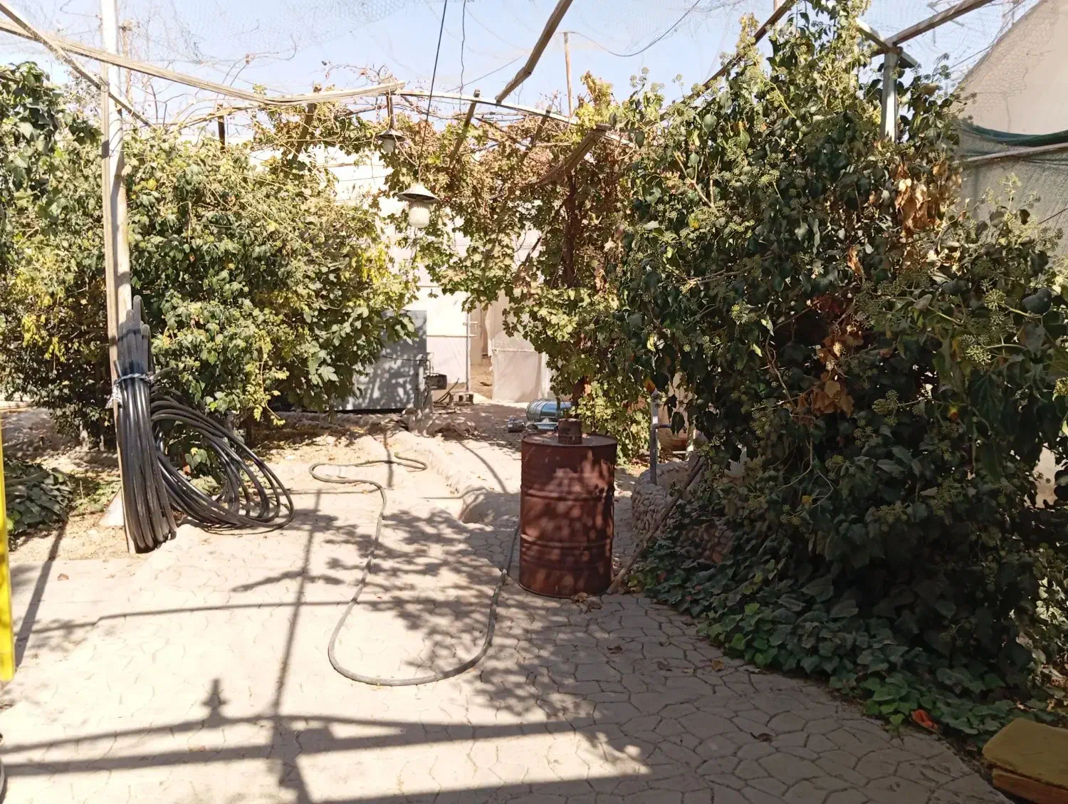 فروش و معاوضه گلخانه ۲۰۰۰متری با تمام امکانات|فروش دفتر صنعتی، کشاورزی، تجاری|خمینی‌شهر, |دیوار