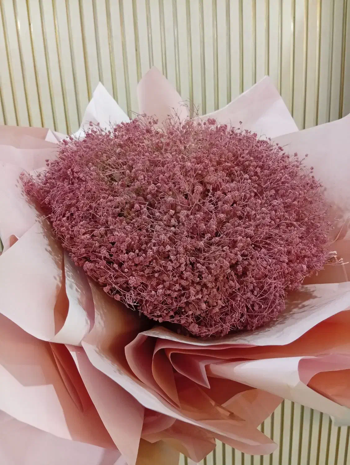 گل خشک ژیپوسفیلا صورتی|گل و گیاه طبیعی|کرج, گلشهر|دیوار