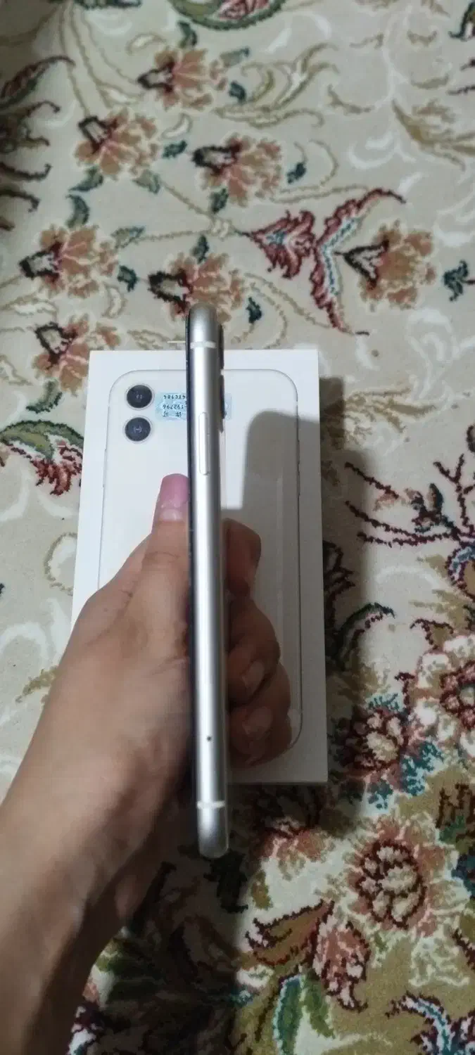 Iphone 11|موبایل|یاسوج, |دیوار