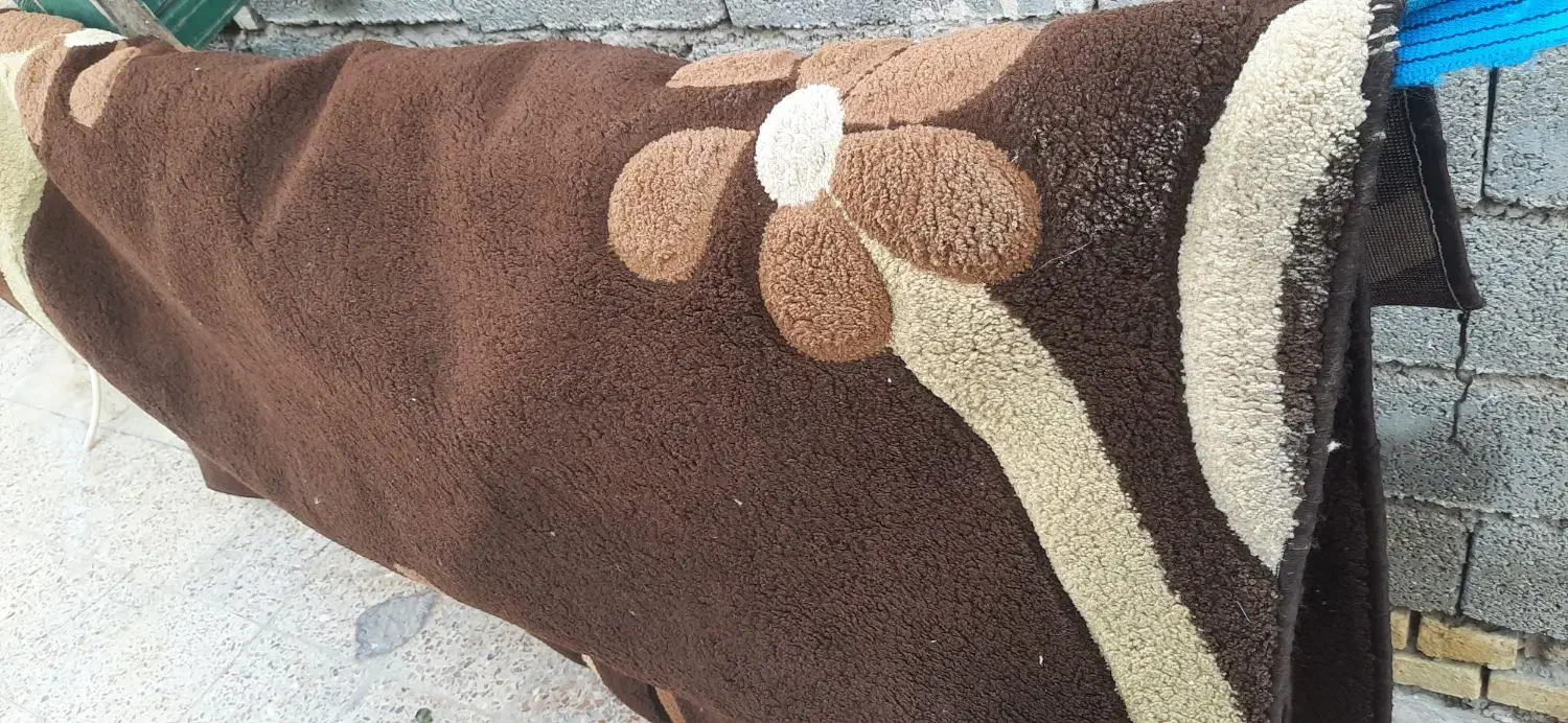 گلیم فرش|گلیم، جاجیم، گبه|بندر امام خمینی, |دیوار