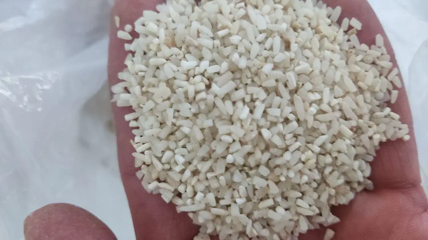 برنج نیم دانه دودی|خوردنی و آشامیدنی|تبریز, |دیوار