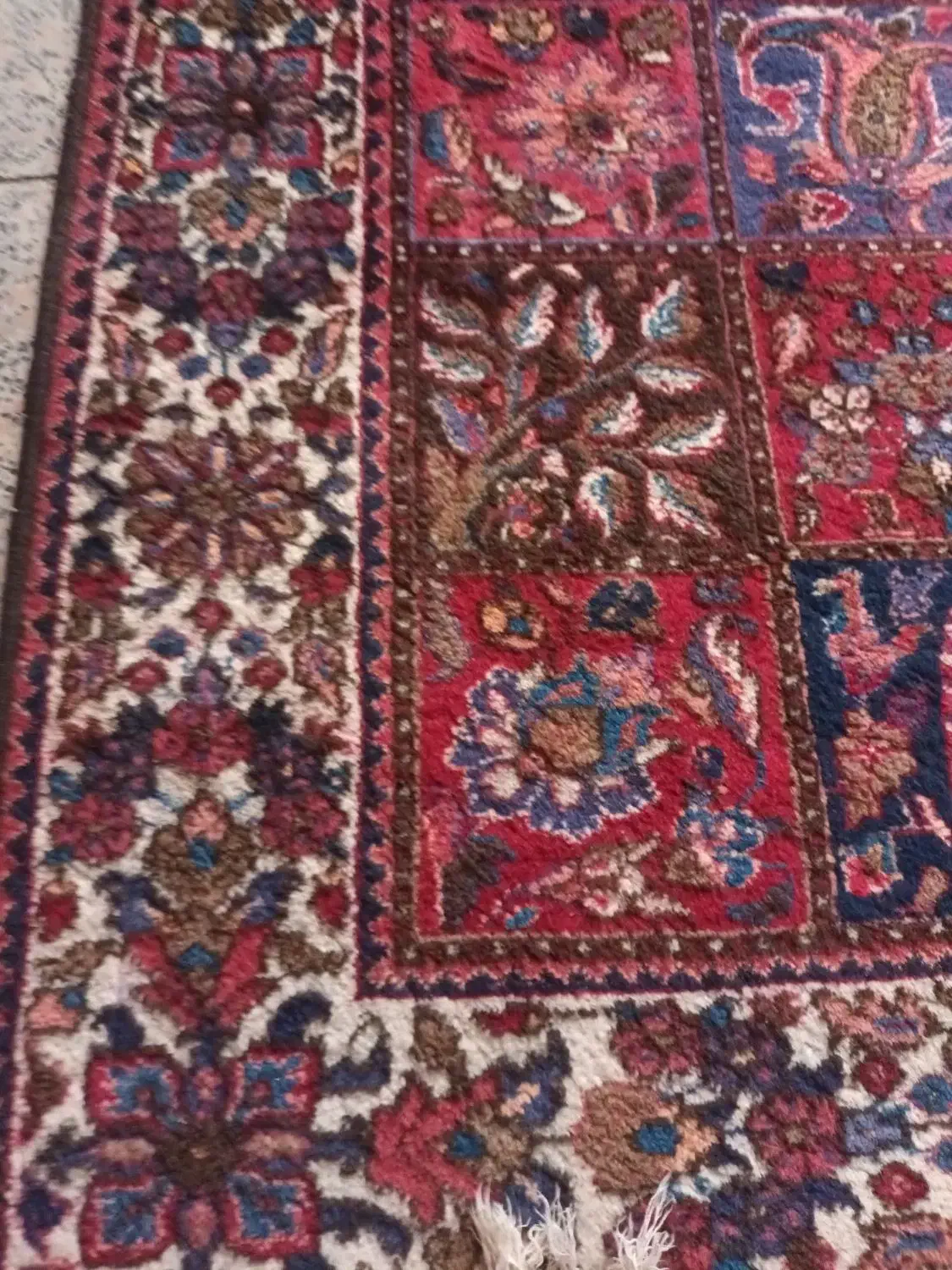 دستبافت بختیاری۶ متری|فرش|شهریار, شهریار|دیوار