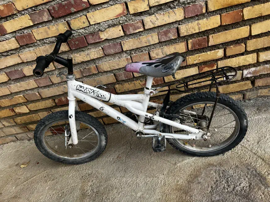 دوچرخه|دوچرخه، اسکیت، اسکوتر|گنبد کاووس, |دیوار