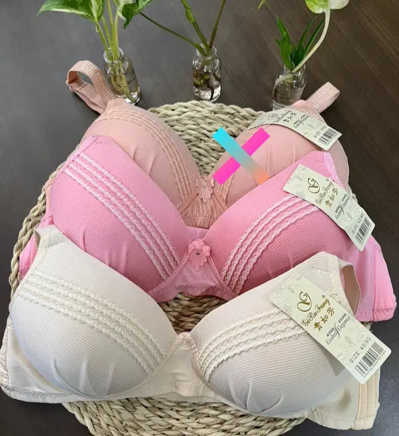 لباس زیر|لباس|شهرکرد, |دیوار