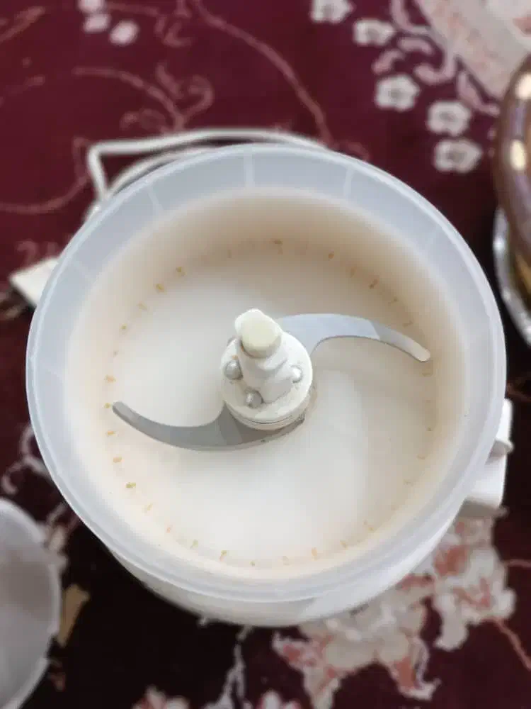 آسیاب دو تیغه|خردکن، آسیاب، غذاساز|اهواز, فولادشهر|دیوار