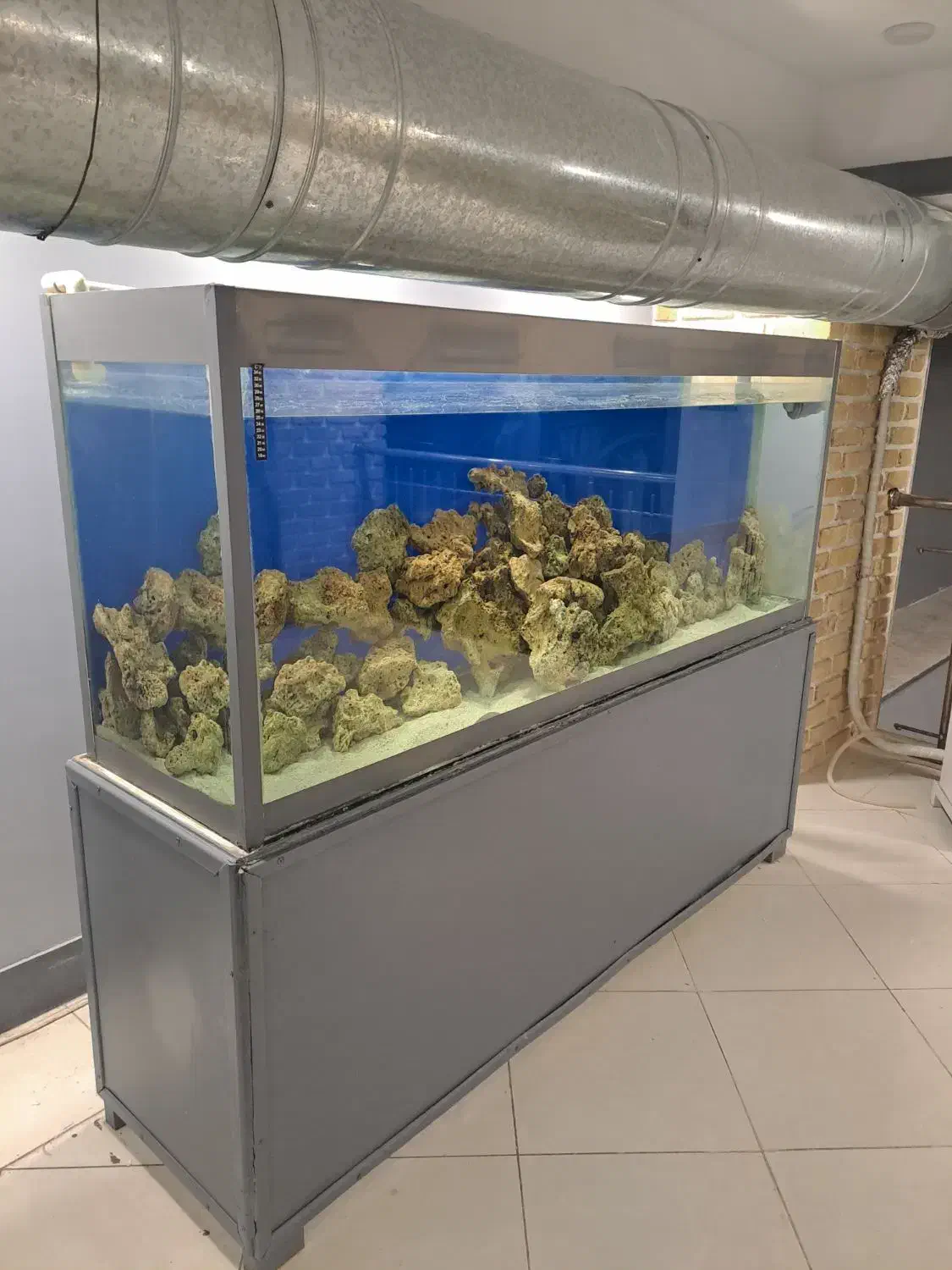 آکواریوم دو متری مناسب کافه رستوران سفره خانه|ماهی|تهران, عباسی|دیوار