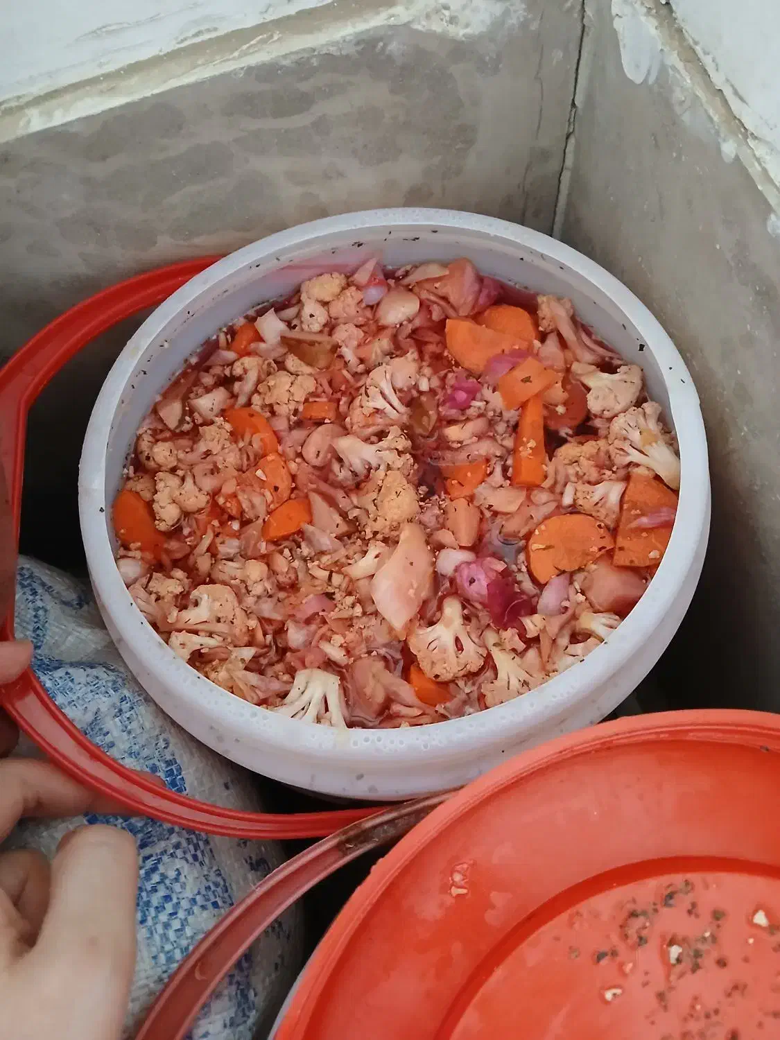 ترشی خانگی گل کلم اعلا فقط کیلویی ۱۵۰ تومن|خوردنی و آشامیدنی|کرج, شهرک شهرداری|دیوار