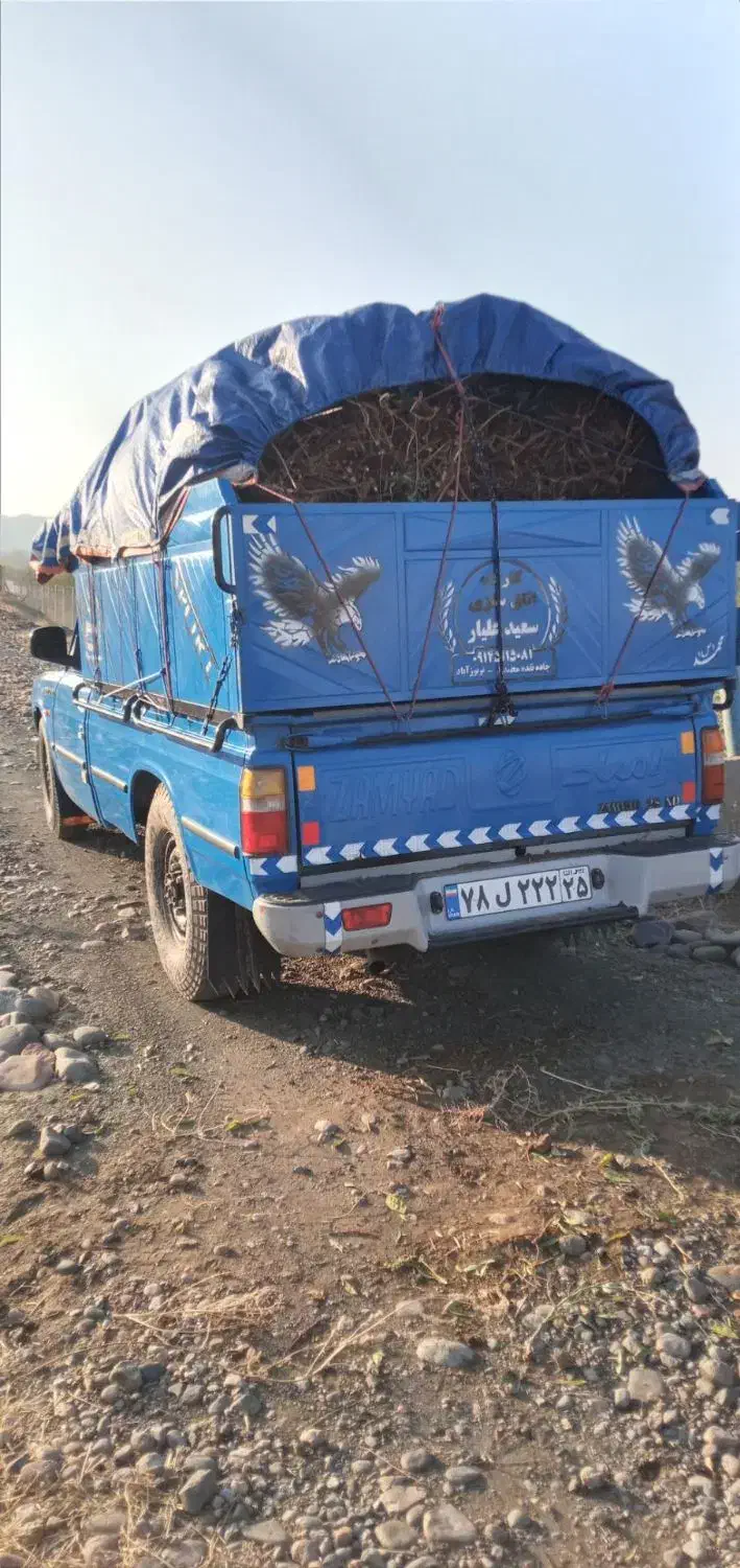 نهالستان|گل و گیاه طبیعی|هوراند, |دیوار