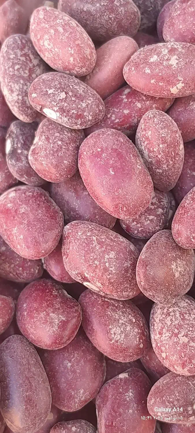 فروش عمده لوبیا قرمز بوجاری درجهیک در سعادتشهر|عمدهفروشی|پاسارگاد, |دیوار