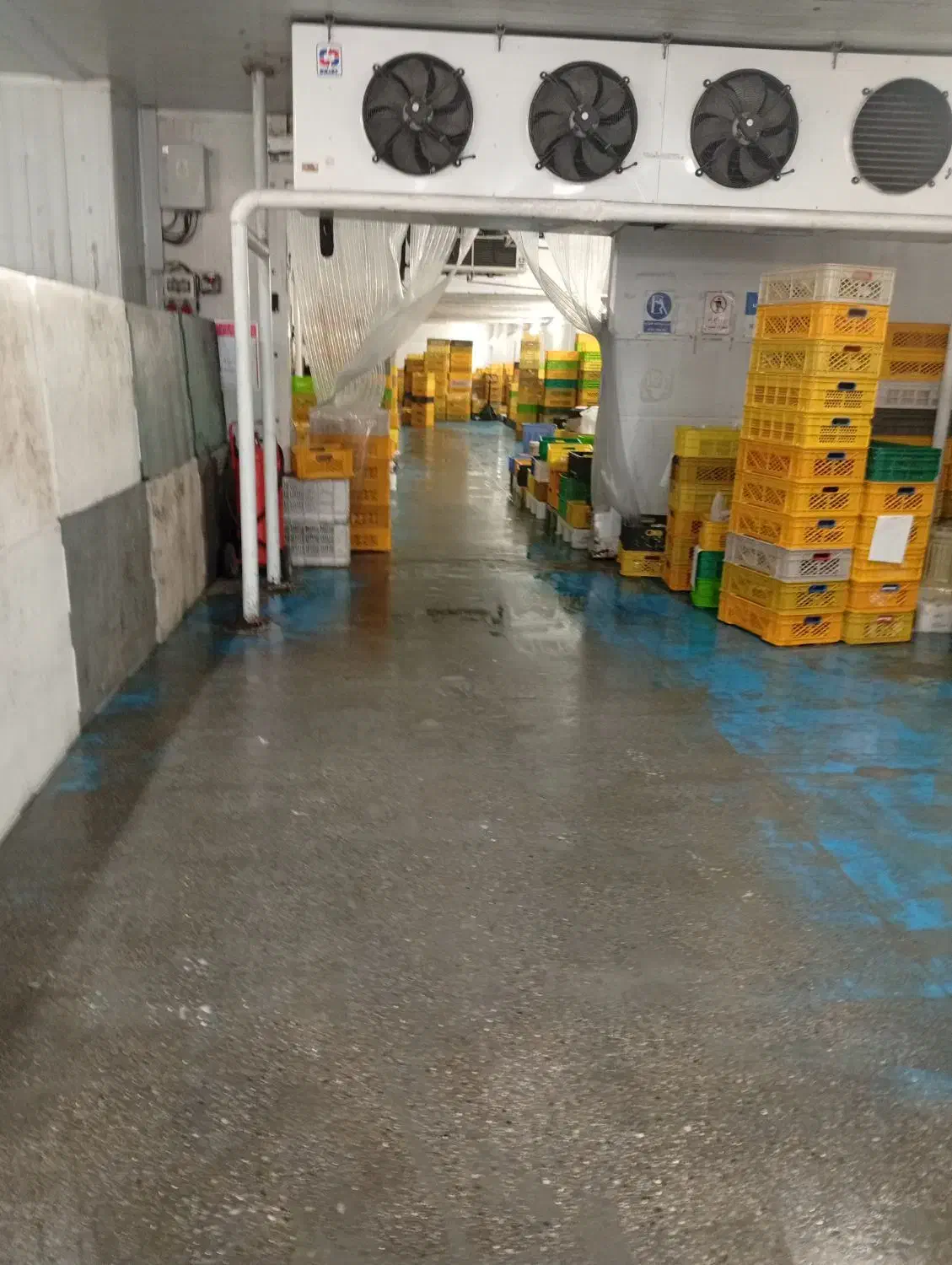 انبار لبنیات و خشک|استخدام صنعتی، فنی، مهندسی|زرگرشهر, |دیوار