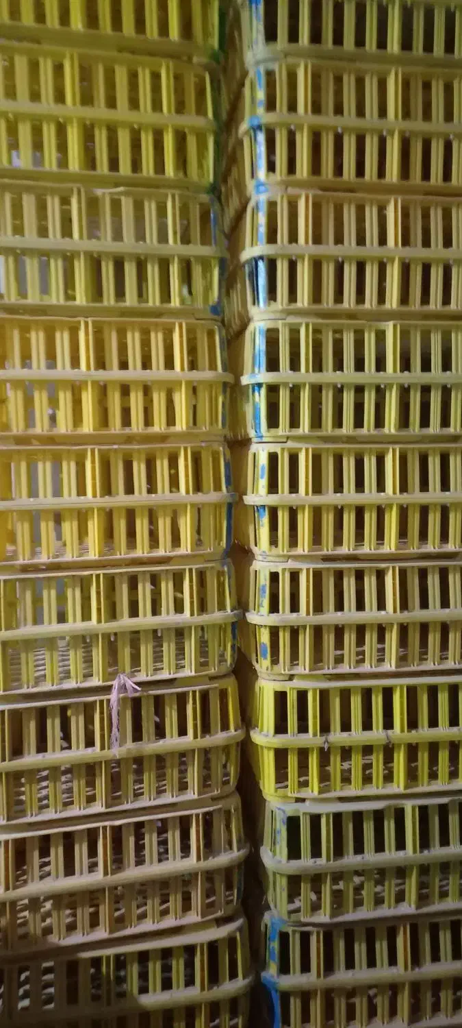 قفسه‌مرغ|لوازم جانبی حیوانات|دیواندره, |دیوار