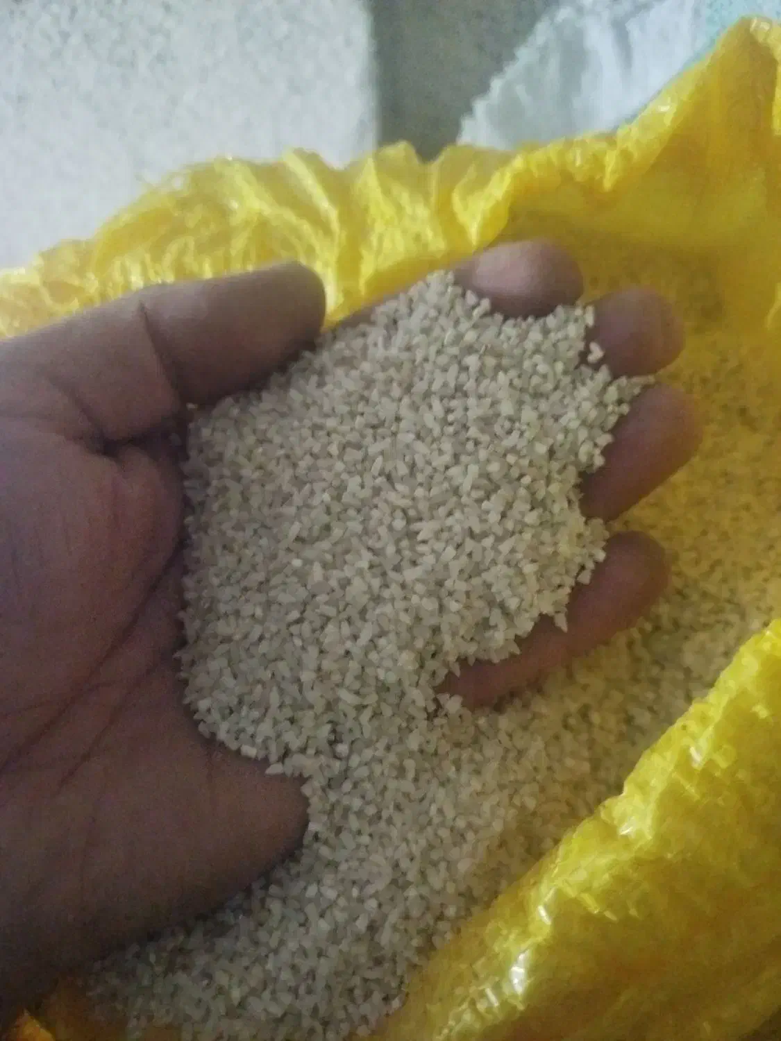 نیم دانه هاشمی گیلان|خوردنی و آشامیدنی|اسلام‌شهر, شهرک مهدیه|دیوار