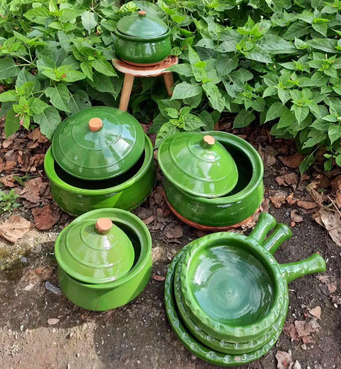 7تیکه گمج خورشتی شمالی|ظروف پختوپز|رشت, هلال احمر|دیوار