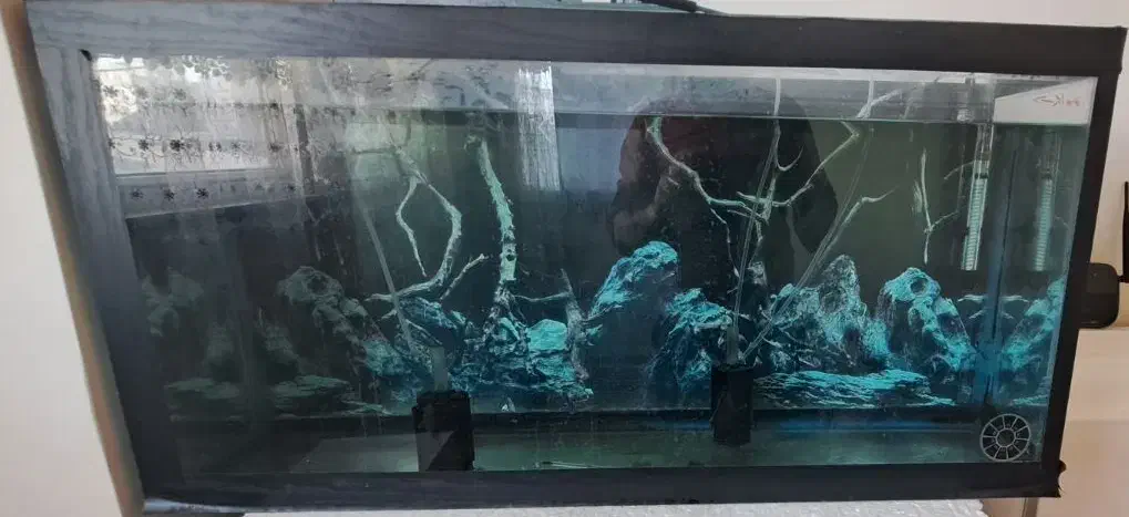 آکواریم|ماهی|رباطکریم, مسکن مهر آبشناسان|دیوار