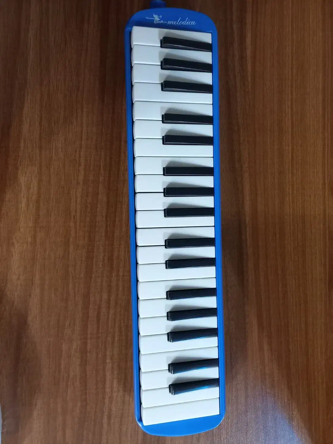 ملودیکا|پیانو، کیبورد، آکاردئون|بندر انزلی, جهانگانی|دیوار