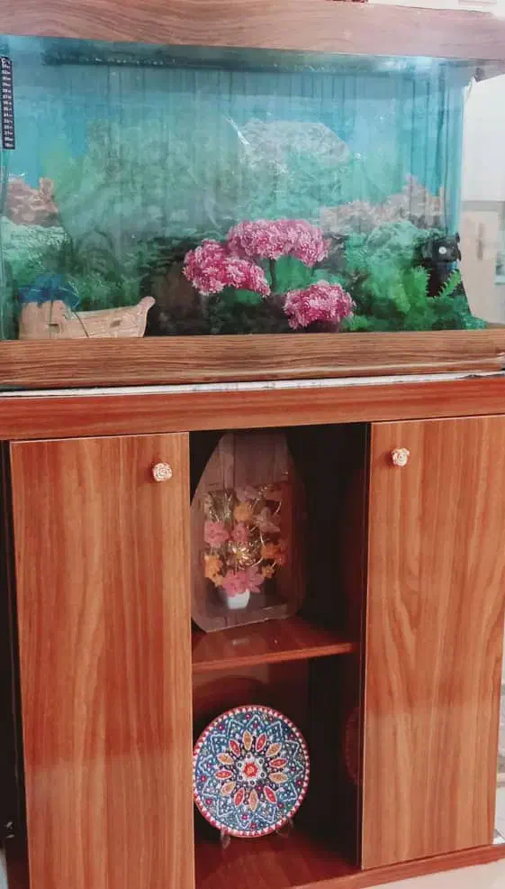 میز آکواریوم|ماهی|رفسنجان, |دیوار
