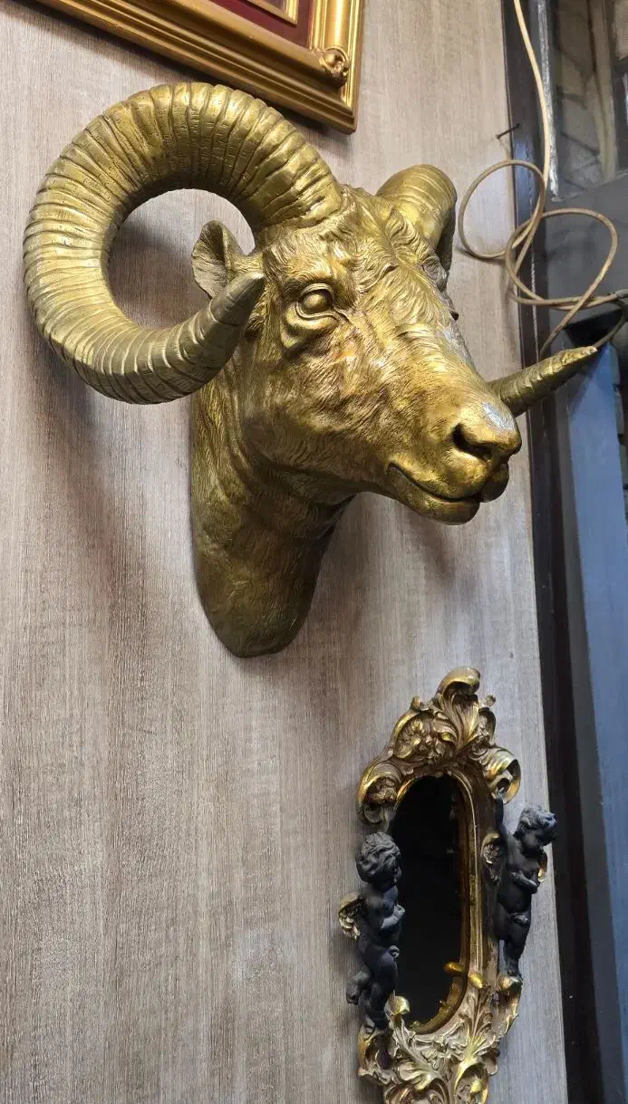 مجسمه برنز دیوارکوب کله قوچ برنزی|مجسمه، تندیس، ماکت|تهران, تهرانپارس جنوبی|دیوار