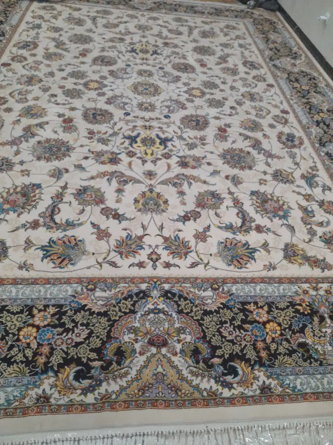 قالی نو یکیماه بیشتر پهن نبود|فرش|فولادشهر, A3|دیوار