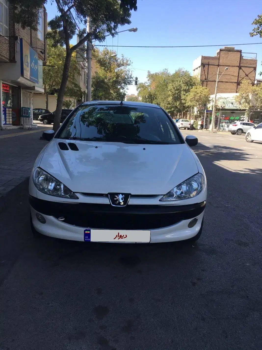 206 sd v8 مدل ۹۸|خودرو سواری و وانت|مشهد, شهید بهشتی|دیوار