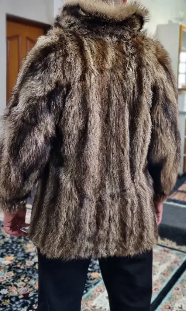 پالتو پوست خارجی|لباس|یاسوج, |دیوار