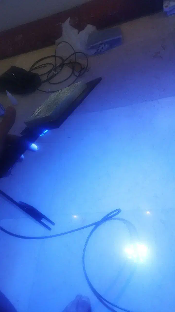 نور آب شور نو نو نو|ماهی|تهران, امیریه|دیوار