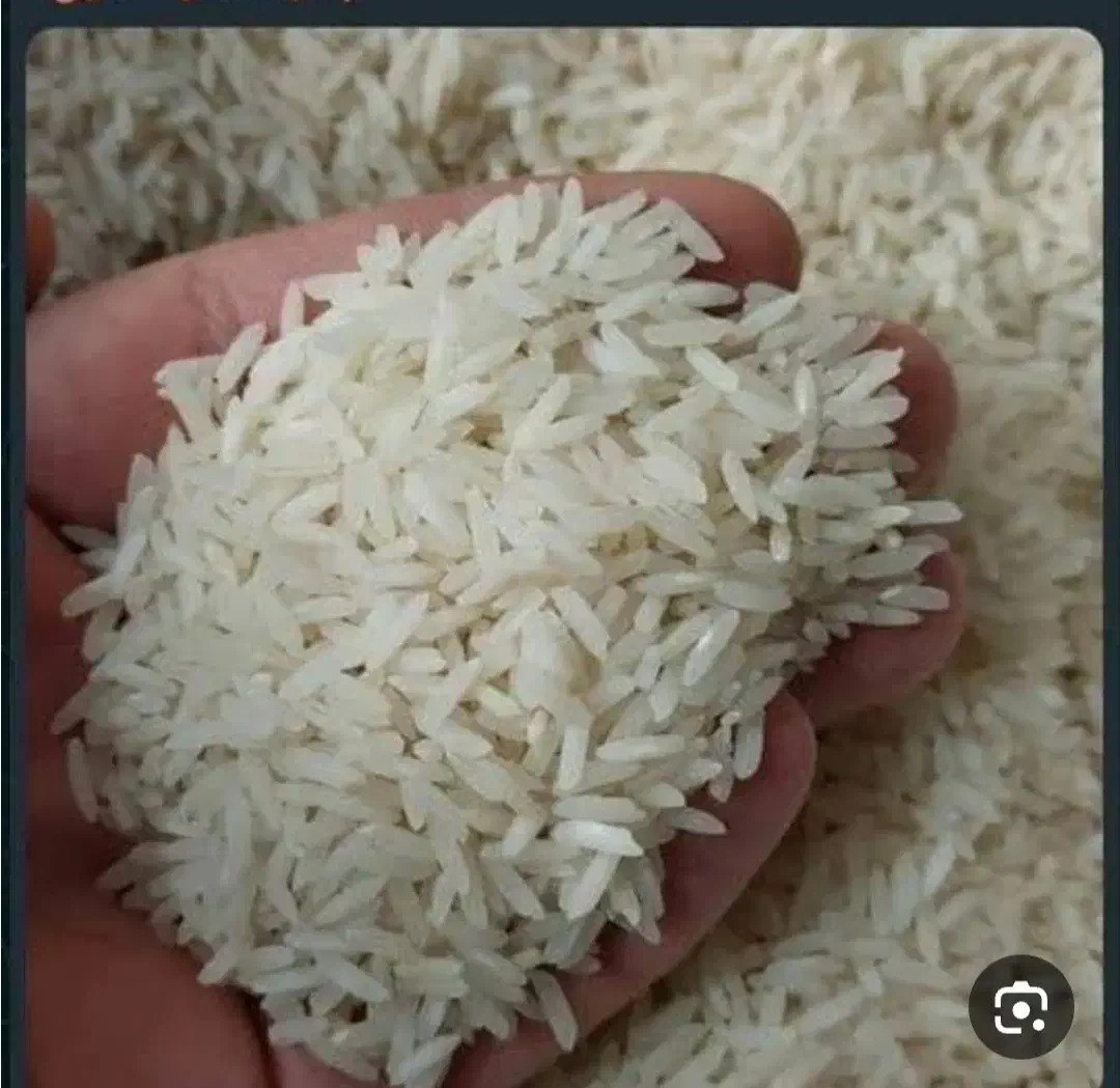 برنج ندا|خوردنی و آشامیدنی|خان ببین, |دیوار