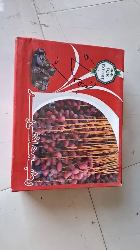 کارتن ۵ کیلویی|عمده‌فروشی|بم, |دیوار