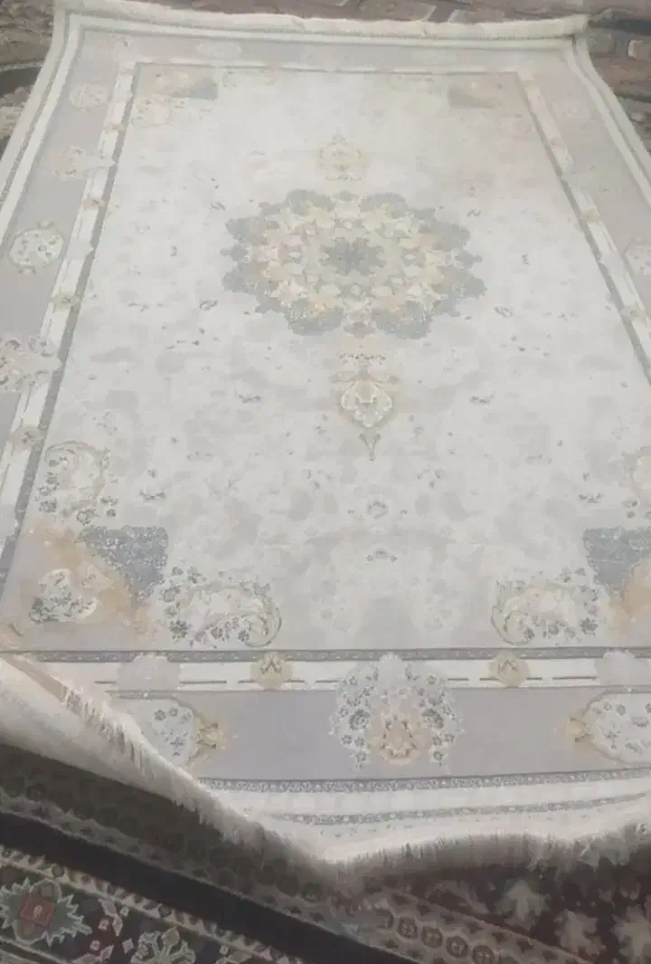 فرش نو|فرش|زاهدان, |دیوار