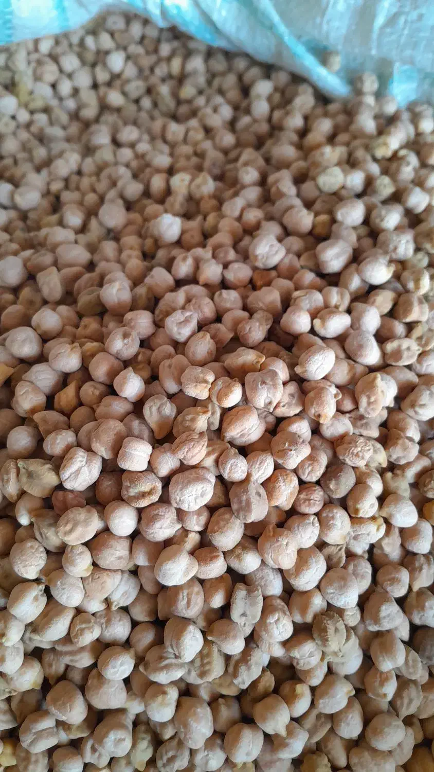 نخود|خوردنی و آشامیدنی|سیروان, |دیوار