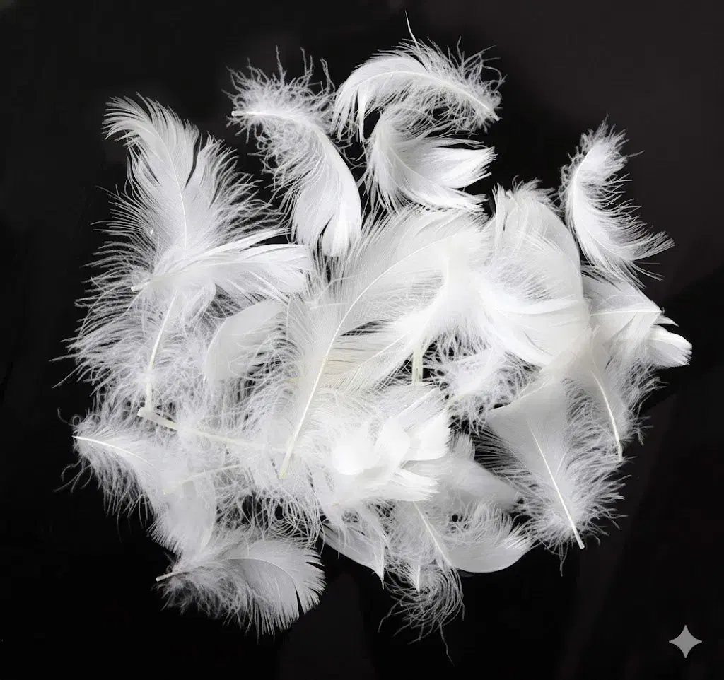 پر مرغ بهداشتی و استریل شده برای بالش بسته 15 کیلو|رختخواب، بالش، پتو|صفادشت, |دیوار