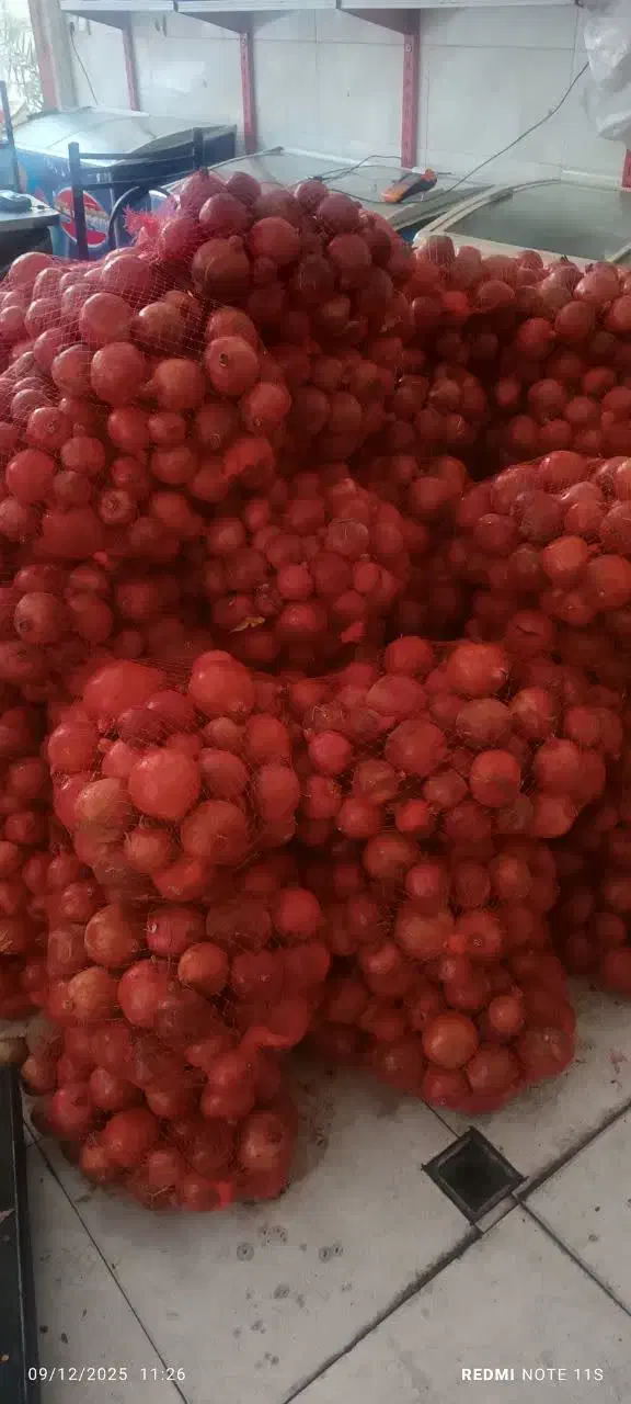 اب انار به صورت عمده و خرده|خوردنی و آشامیدنی|قم, قلعه کامکار|دیوار