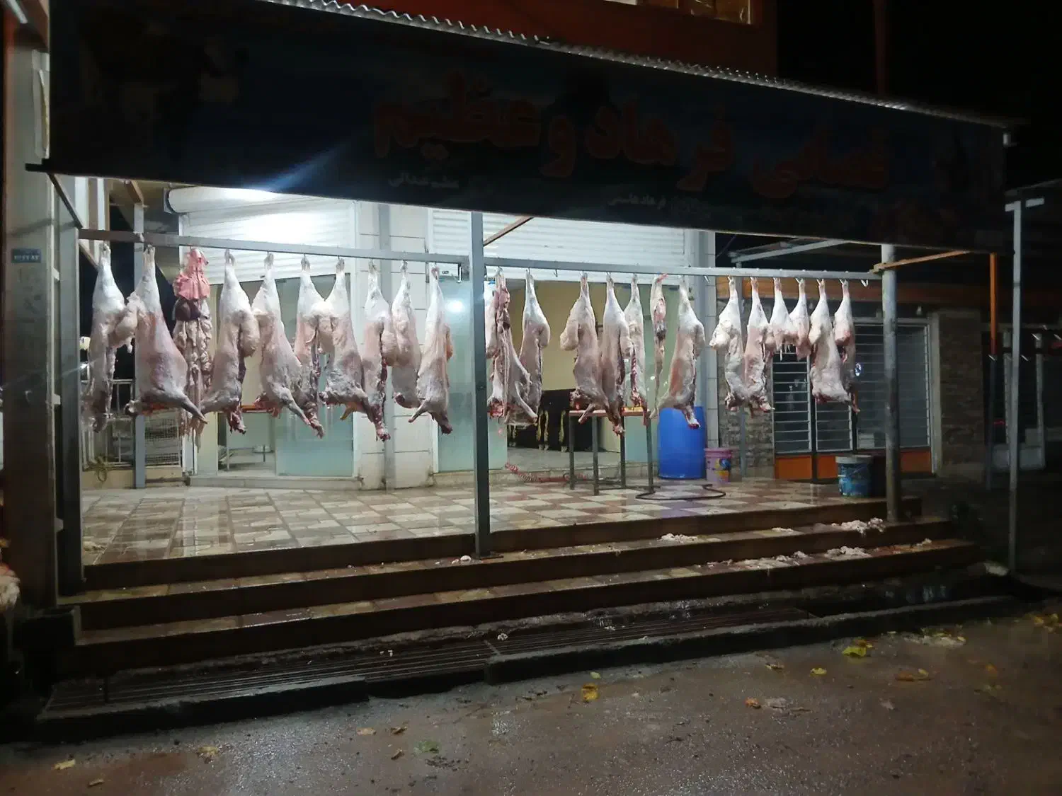 گوشت کاور|لوازم جانبی حیوانات|ایلام, |دیوار