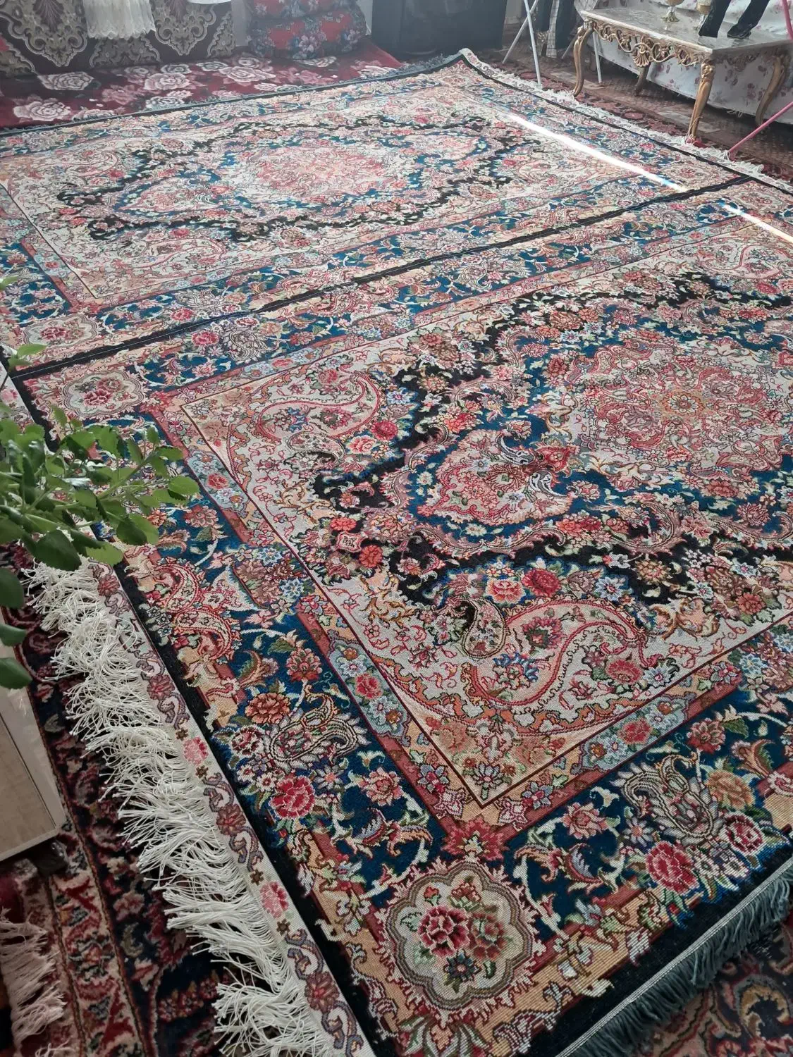 فرش دستباف سالاری|فرش|اسکو, |دیوار