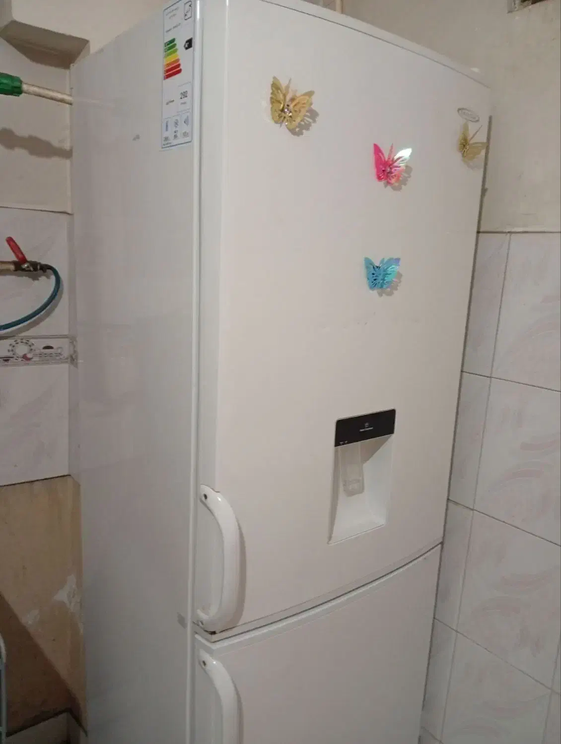 یخچال|یخچال و فریزر|مشهد, شهید معقول|دیوار